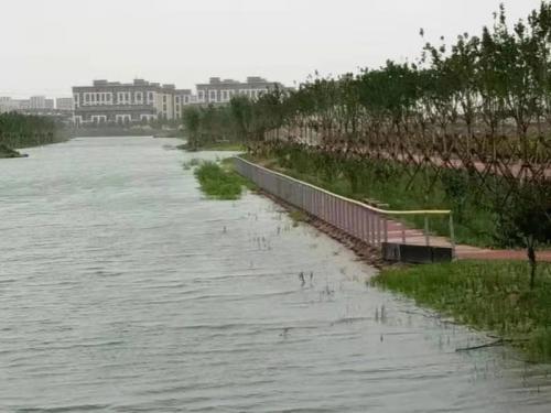 唐山曹妃甸绿珠河二期河堤工程