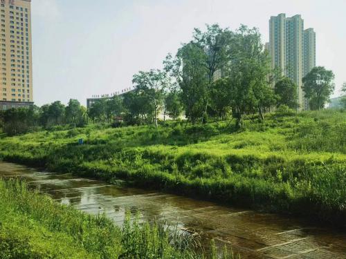 武汉光谷湿地公园九峰明渠